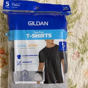 Gildan Men’s large T-shirts’